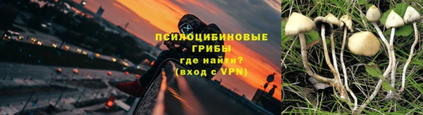 амф Нязепетровск