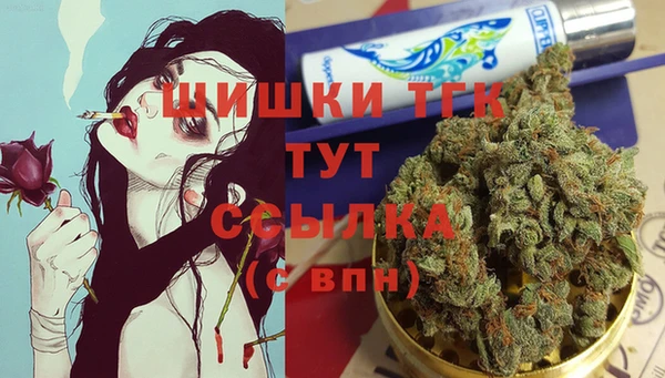 соль ск Гусь-Хрустальный