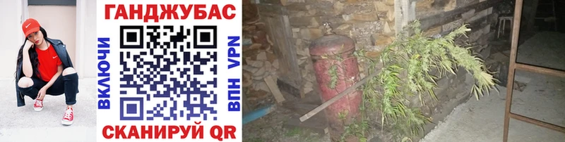 Марихуана план  Касли 